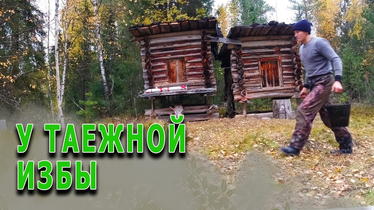 Жизнь в таежной избе. Восстанавливаем силы. Топим баньку по-черному.