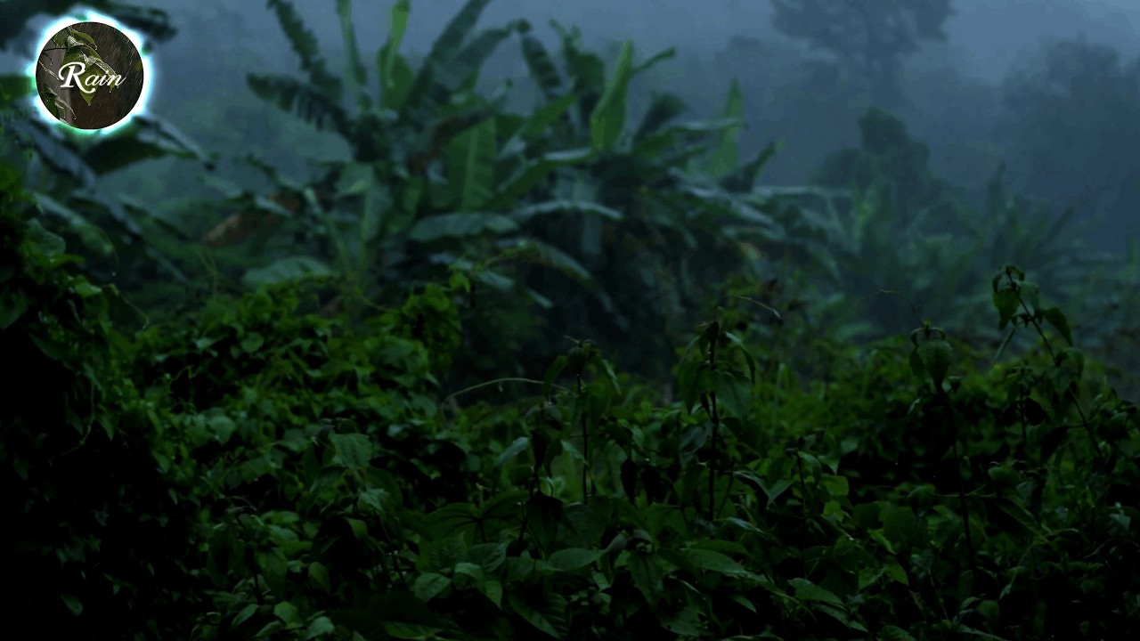 🌧 Som de Chuva no Sótão de Madeira: O Lugar Mais Aconchegante para Dormir 44