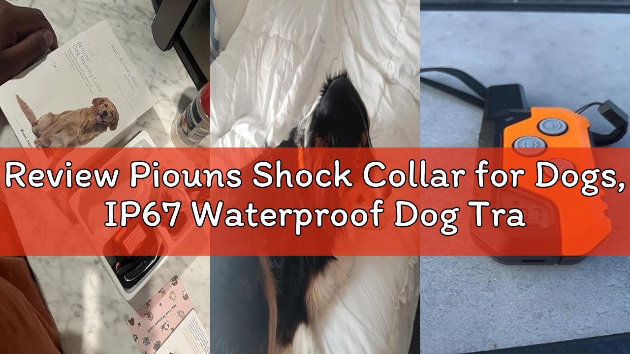 Review Piouns Shock Collar for Dogs, IP67 Waterproof Dog Training Collar with Remote, 3 Training Mod