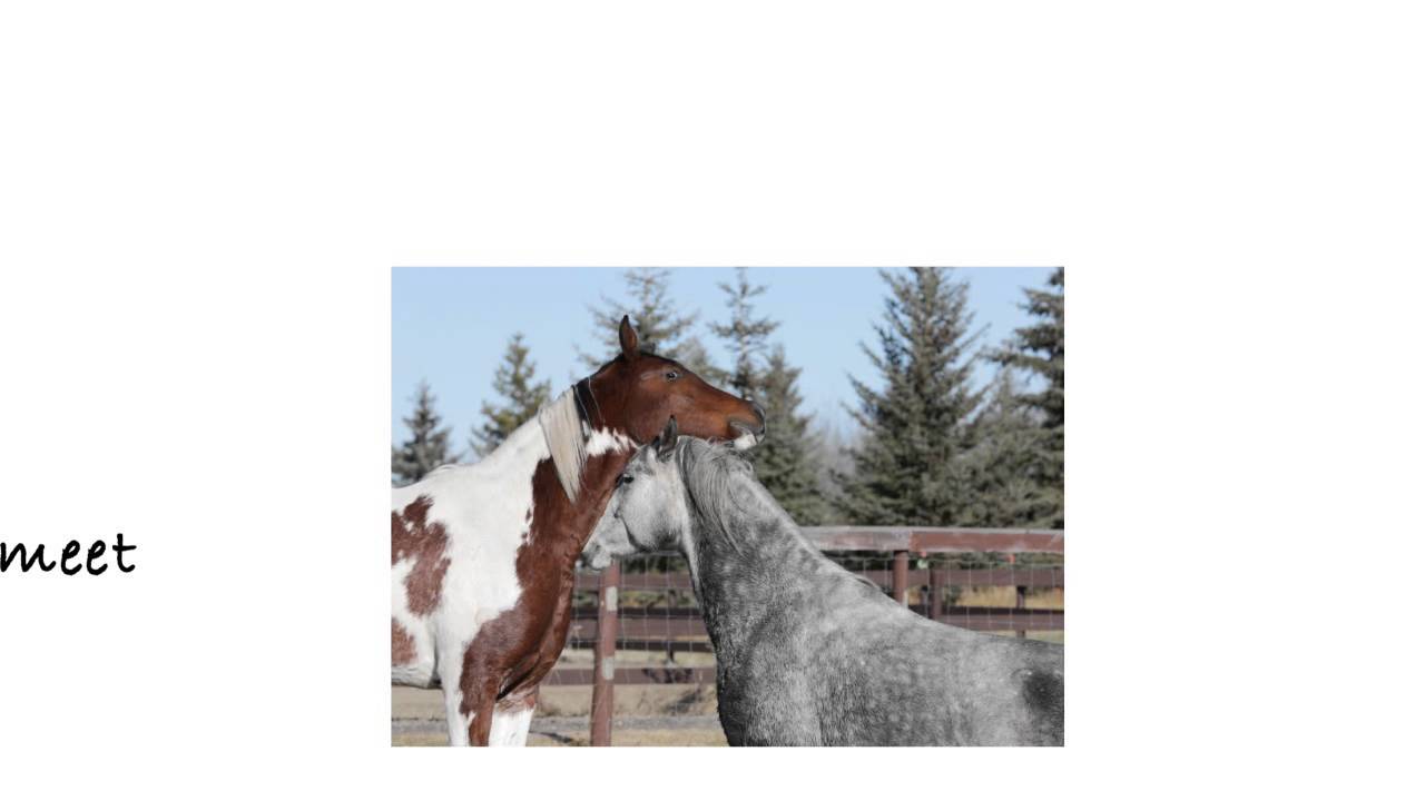 First encounters