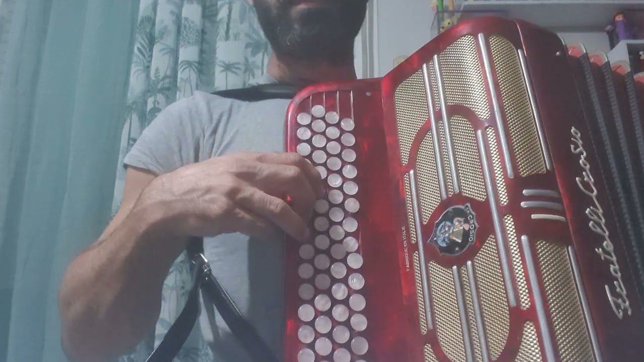 La Petite Culotte - La Goffa Lolita. Accordéon Cover