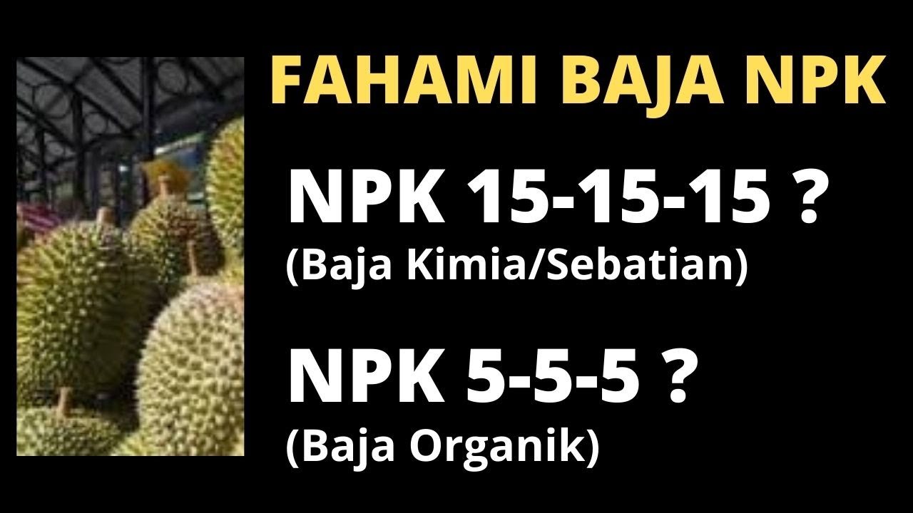 Sifu Durian BAB 49 | Apa itu Baja NPK? - Fahami NPK Kimia dan NPK Organik
