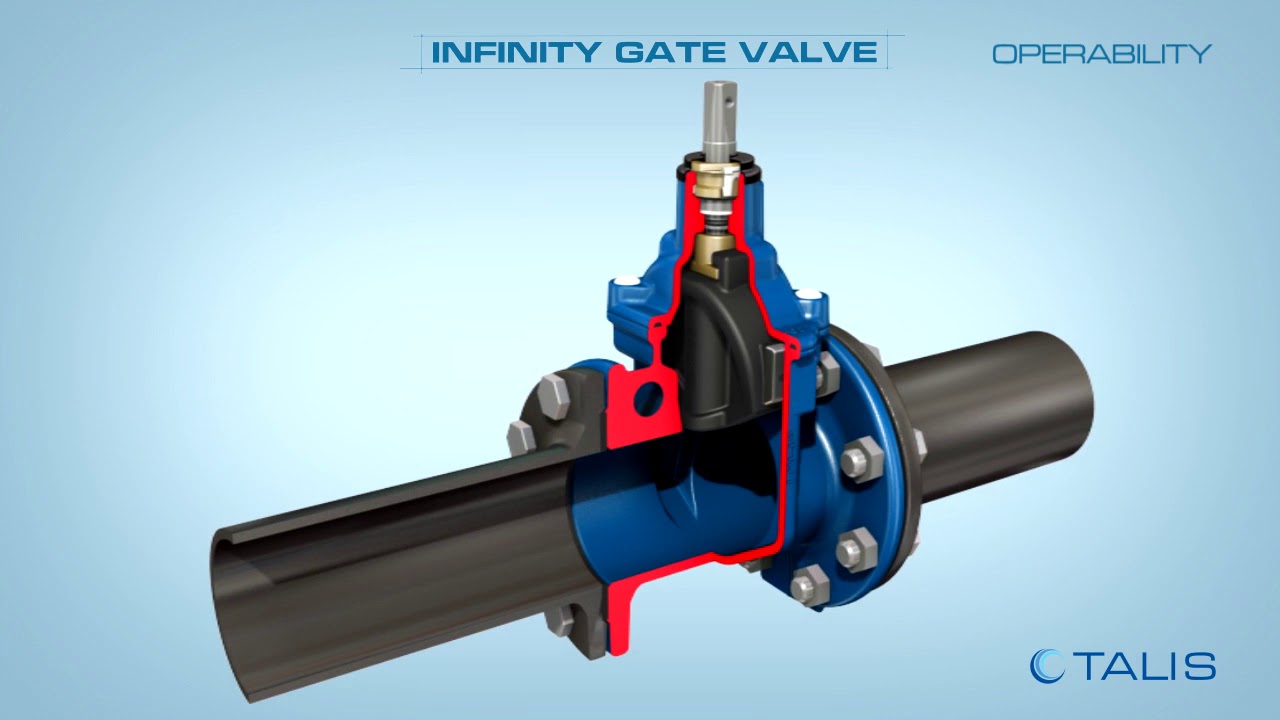 TALIS video INFINITY EN