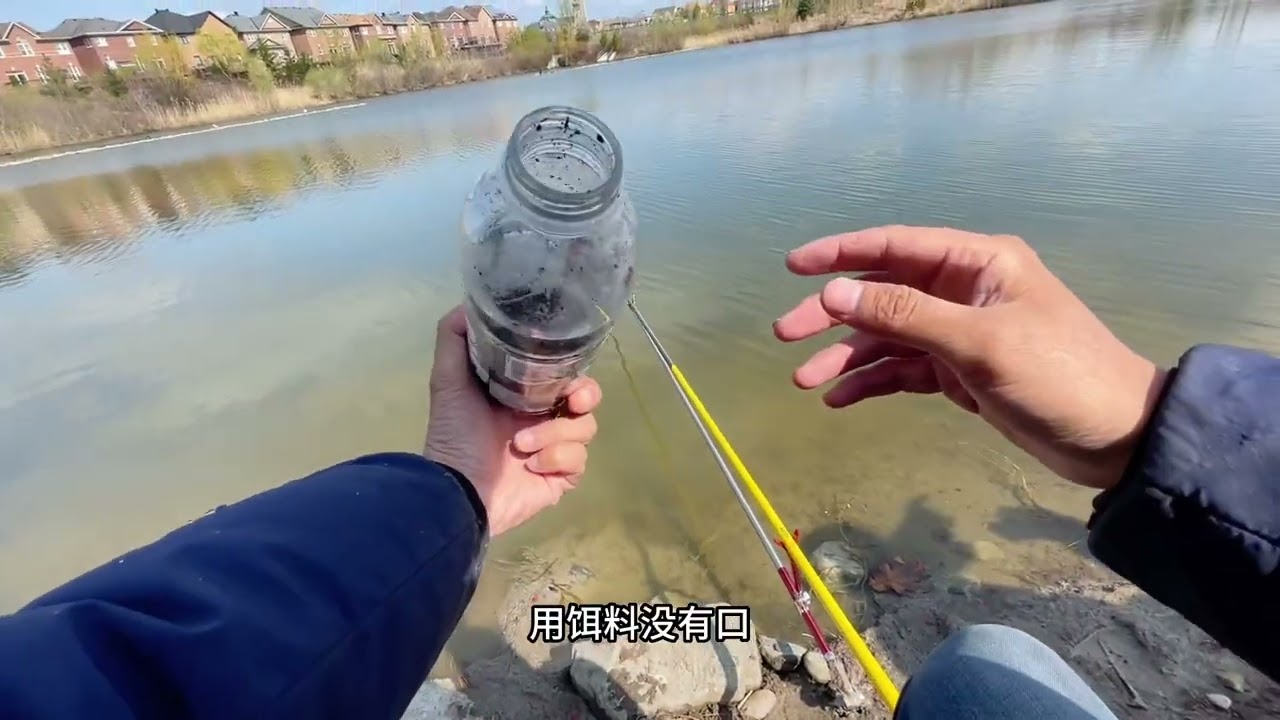 台钓加拿大，这个鱼我猜你们都不认识，有识鱼高手吗？