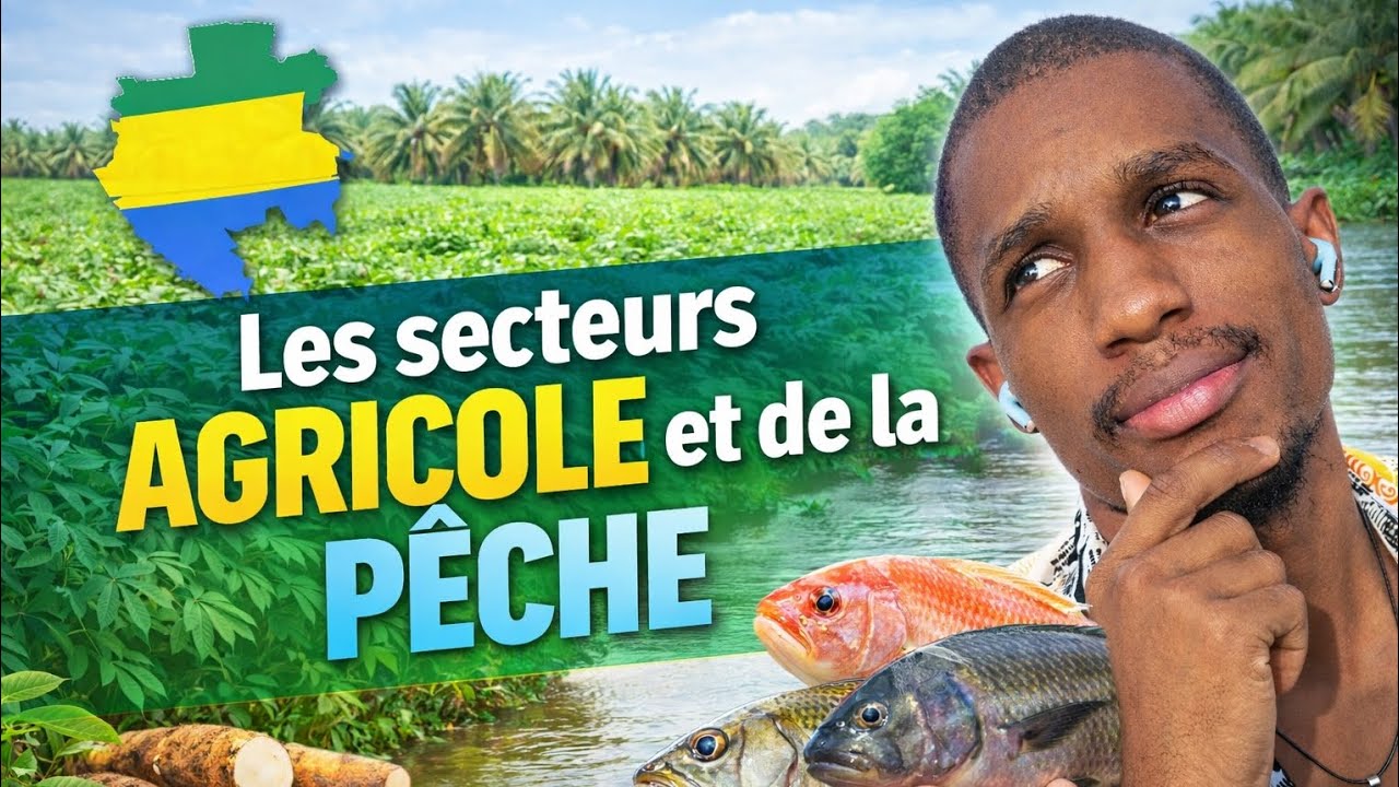 LES SECTEURS AGRICOLE 🌾 ET DE LA PÊCHE 🐟 DANS L'ECONOMIE GABONAISE.💰🇬🇦