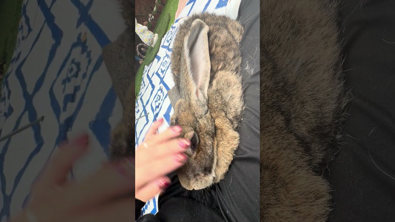 These quiet moments were the best