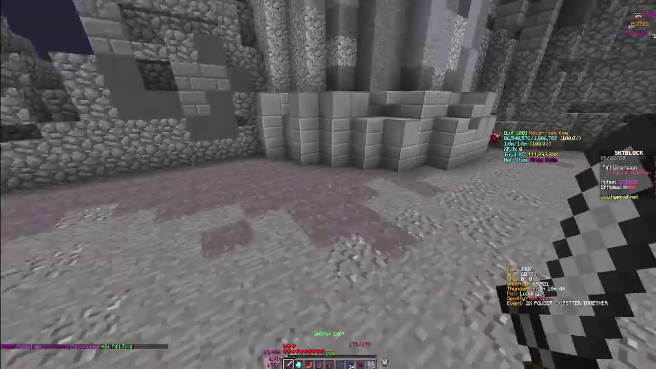 Hypixel Skyblock | Rift