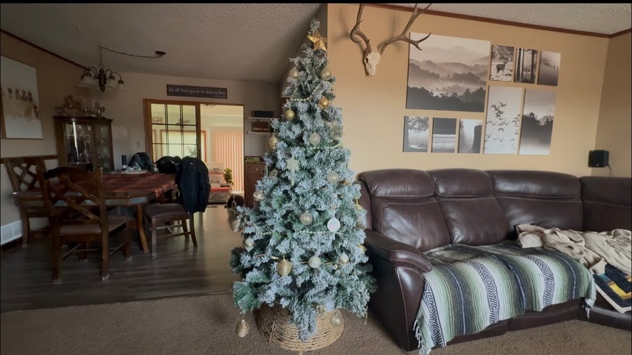 Christmas take down/ New Year’s Reset/