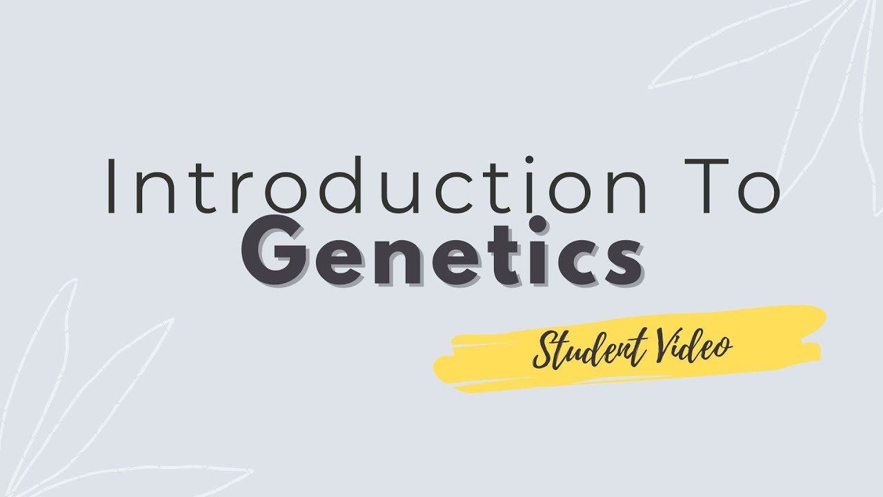 Introduction to Genetics