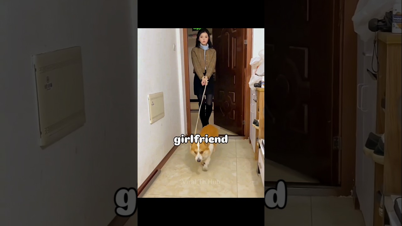 Финальный сюрприз от собаки был уморительным! 🤣