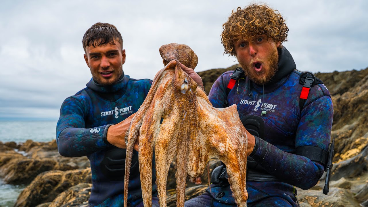 HUGE OCTOPUS CATCH & COOK IN CORNWALL
