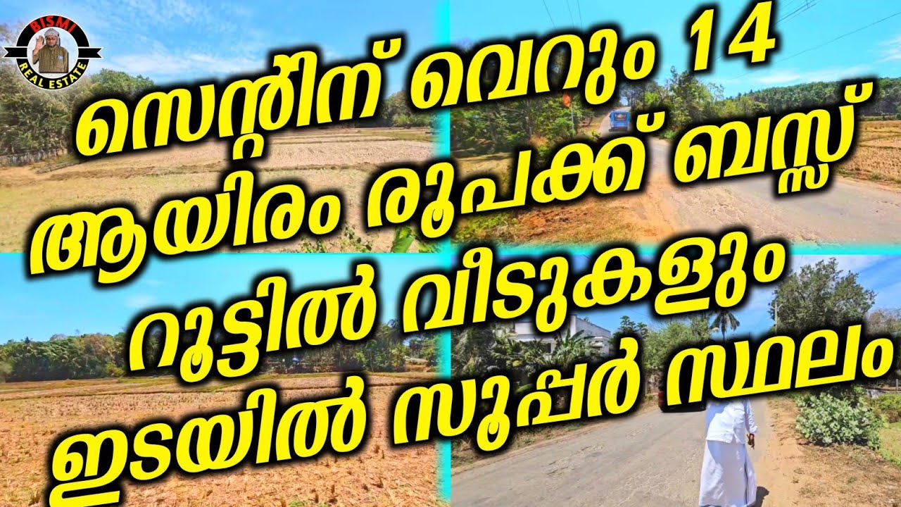 സെന്റിന് വെറും 14 ആയിരം രൂപക്ക് ബസ്സ് റൂട്ടിൽ വീടുകളും ഇടയിൽ സൂപ്പർ സ്ഥലം | plotes for sale |