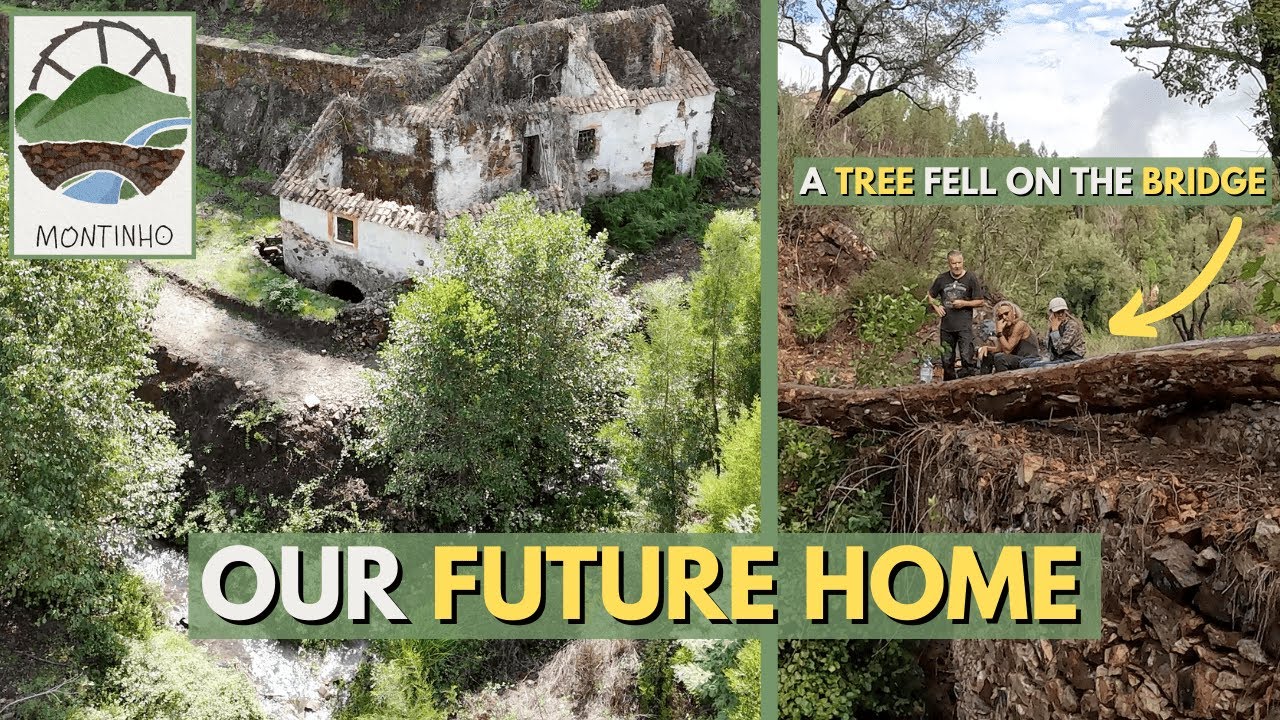 Exploring our FUTURE HOME: The MILL & the STONE BRIDGE! | Abandoned Homestead Transformation #5