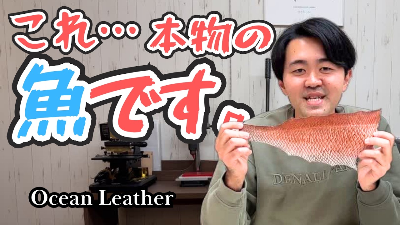 真鯛のリアルカラー製品｜こだわりポイント｜Makuake