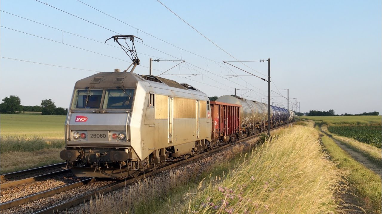 Des trains en Côte-d'Or - Juin 2023