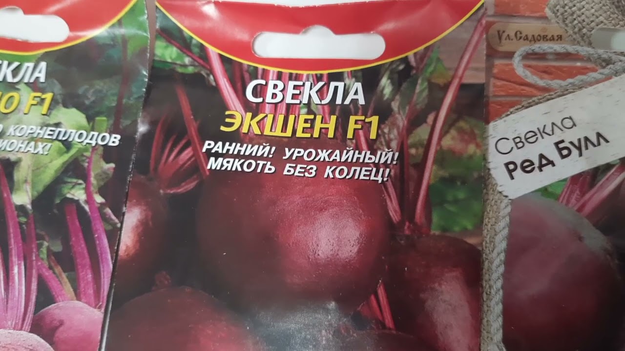 Сорта свёклы без колец и устойчивые.