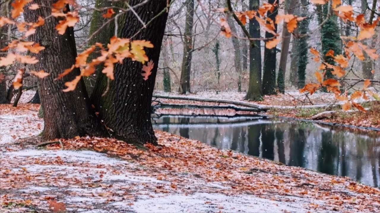 Serene Melody 🍂❄️ Romantic Park Scene for Meditation & Relaxation