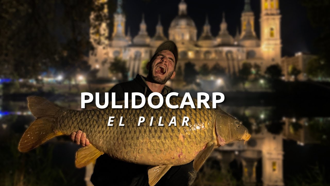 La magia de un río Español - CARPFISHING en el Pilar de Zaragoza - TOUR OF EUROPE.