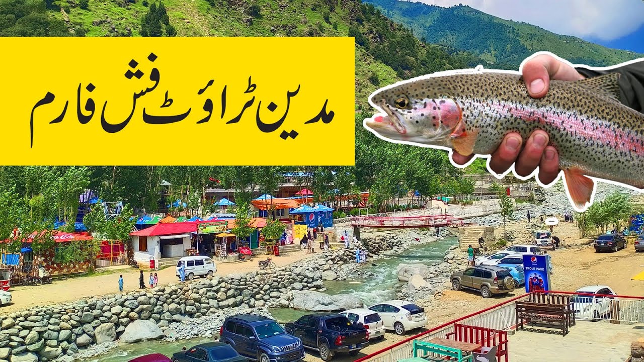EXPLORE MADYAN TROUT FISH FARM SWAT VALLEY PAKISTAN