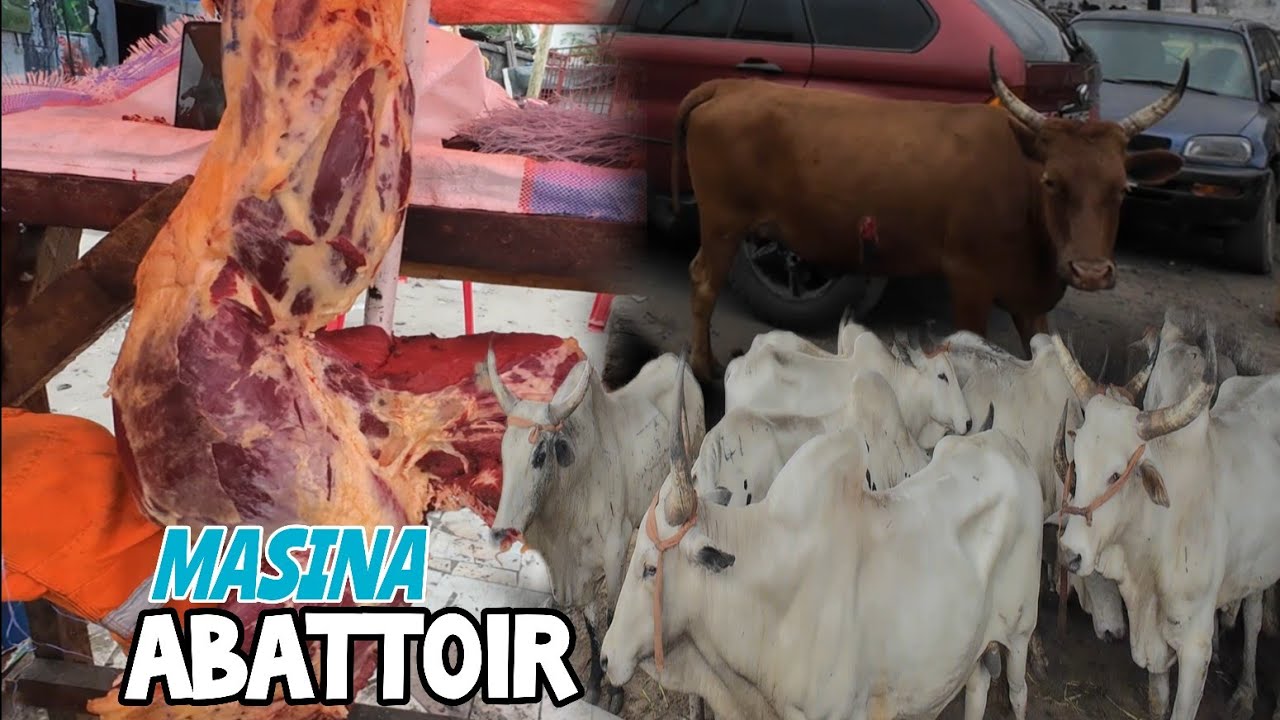 DÉCOUVERTE ABATTOIR LE QUARTIER LE PLUS DÉVELOPPÉ DE MASINA. DES NOUVELLES INFRASTRUCTURES EN CONSTR