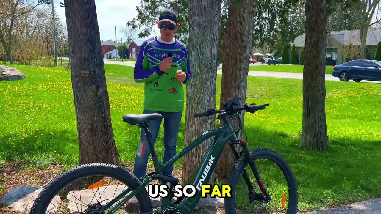 Taubik Alps 2024 e bike review