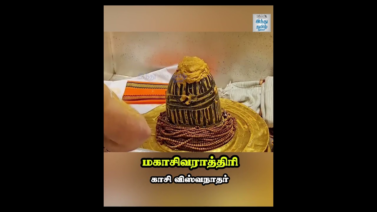 மகாசிவராத்திரி காசி விஸ்வநாதர் | மஹாசிவராத்திரி 2026 | Mahashivratri 2026