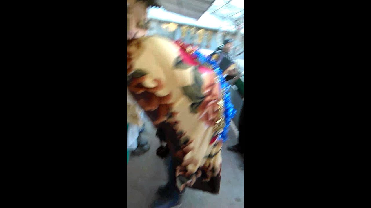 Capra în Jud brăila com gropeni