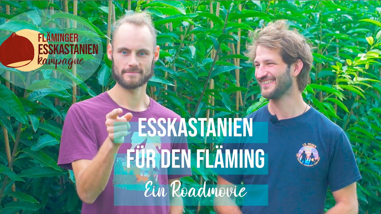 Esskastanie für den Fläming - Ein Roadmovie der Fläminger Esskastanienkampagne