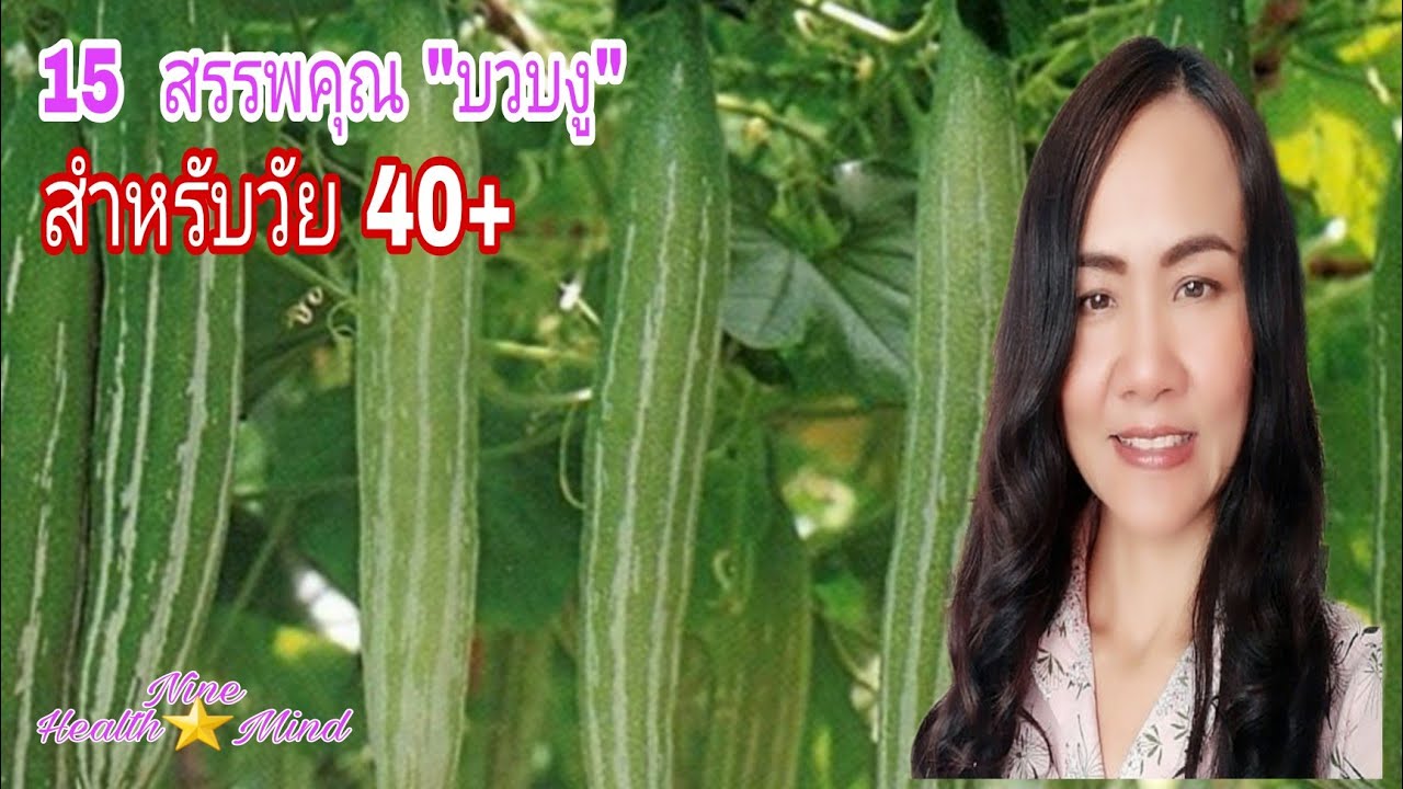15 สรรพคุณ 