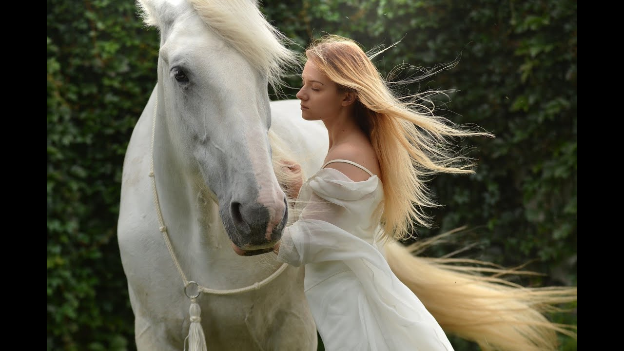 🔴 Relax With Wild Horses - Mustang Horses - Sleep Relaxing Meditation Music