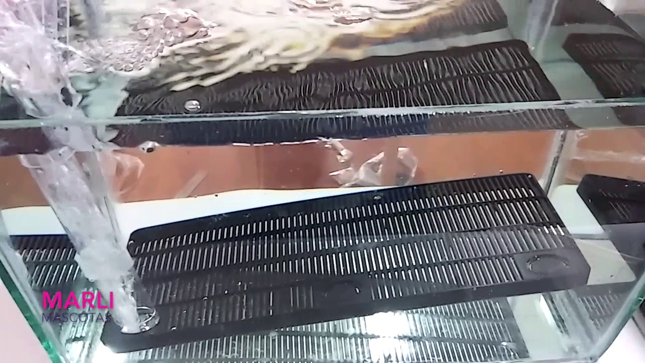 Unboxing de Filtro Plataforma y Modificación