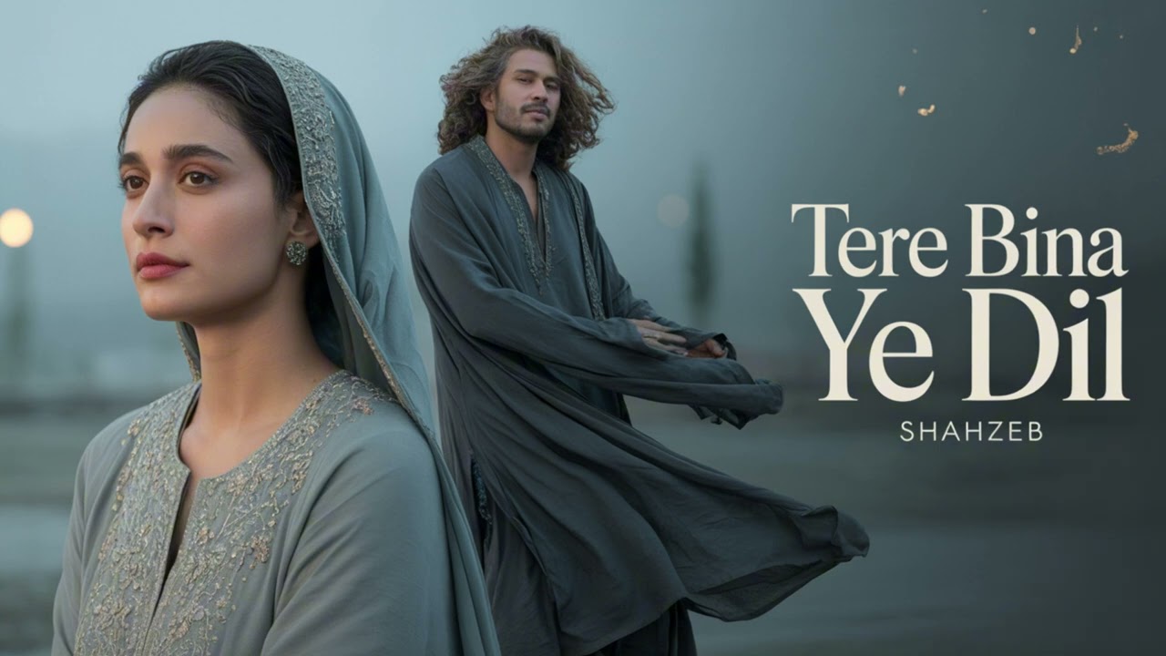 Tere Bina Ye Dil ( تیرے بنا یہ دل ) A Sufi Love Qawwali That Will Touch Your Soul Sufi Shahzeb