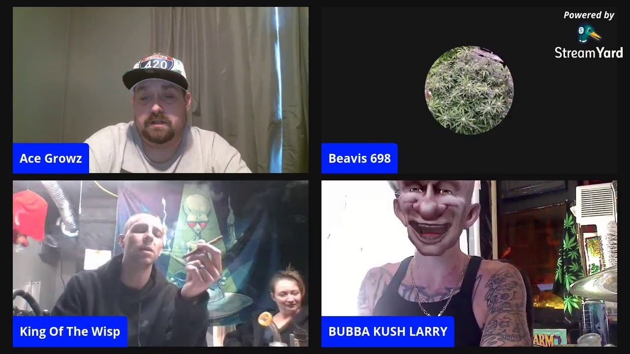 #LIVE AFTERNOON SMOKE SESH