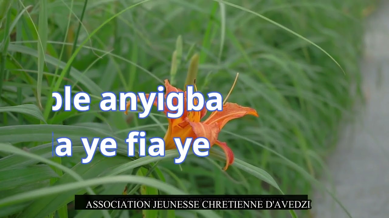 Enyo nam/Fiae