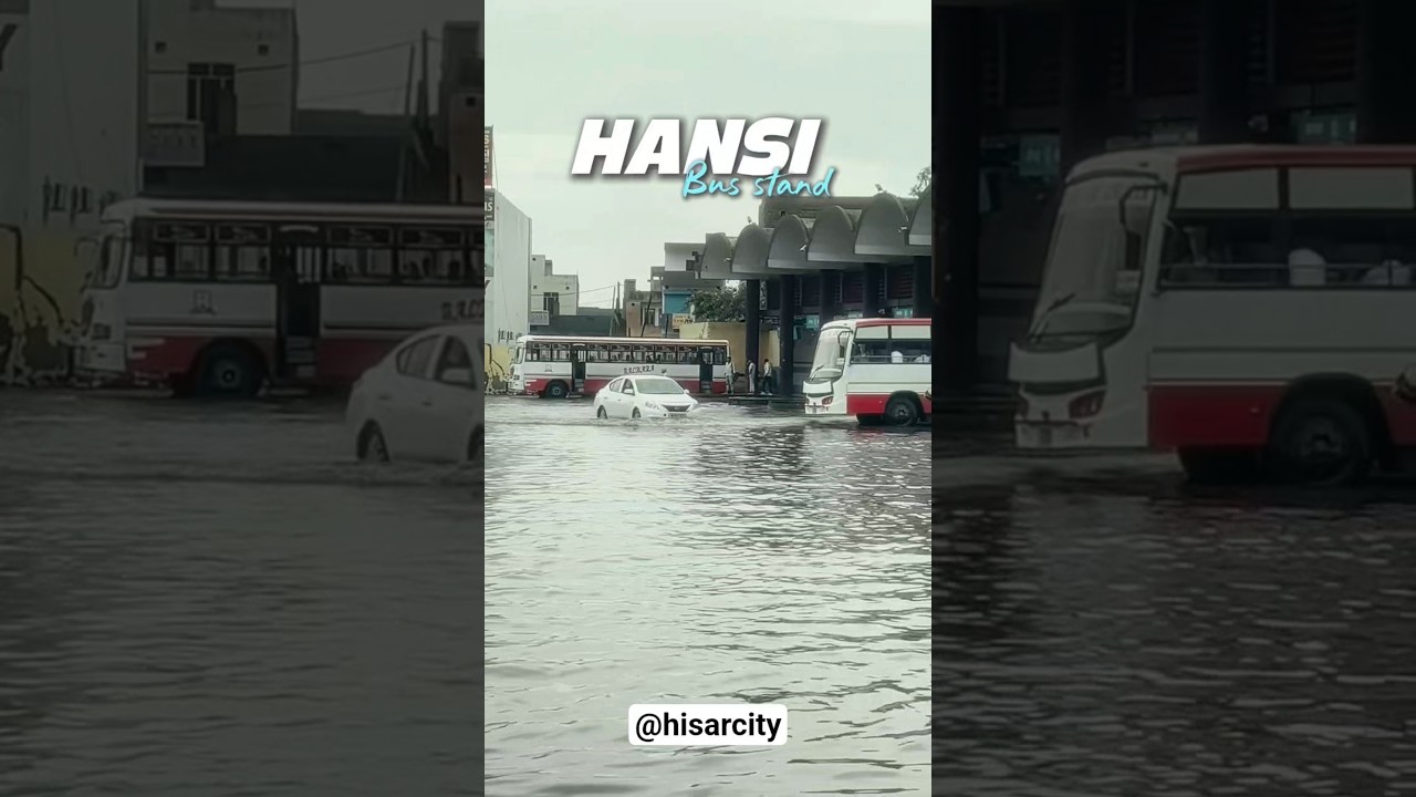 Hansi Bus stand #viral #news #hansi #hisar #hisarkibaat #story #shorts #shortvideo