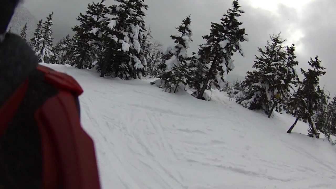 Bretton Woods Boundary Line Glades