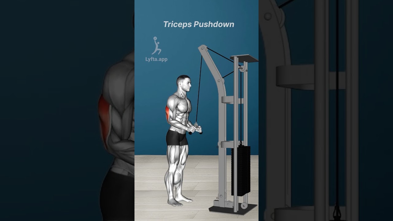 🔥 Upper Body Blast 🔥A versatile workout for all levels focusing on arms and shoulders.