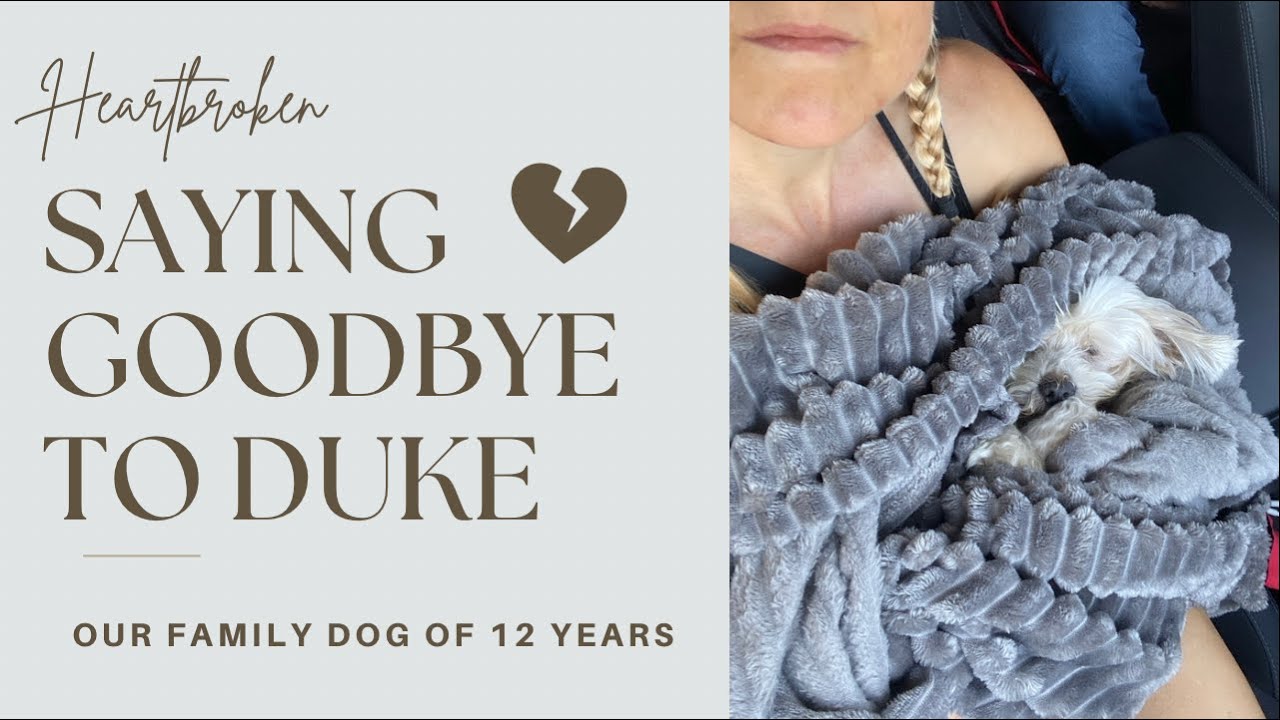 Saying Goodbye To Duke Our Family Dog