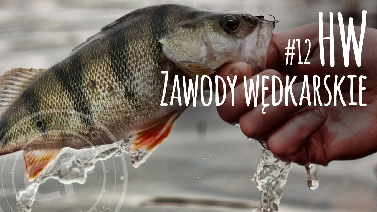 #12 Historie wędkarskie - opowieści dziwnej treści - Zawody wędkarskie