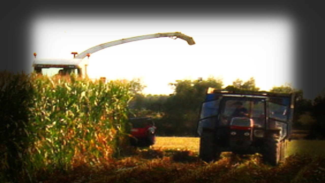 Kiszonka z Kukurydzy 2013 3x Ursus 1224 & MF 6495 & Case International & Class Jaguar 860