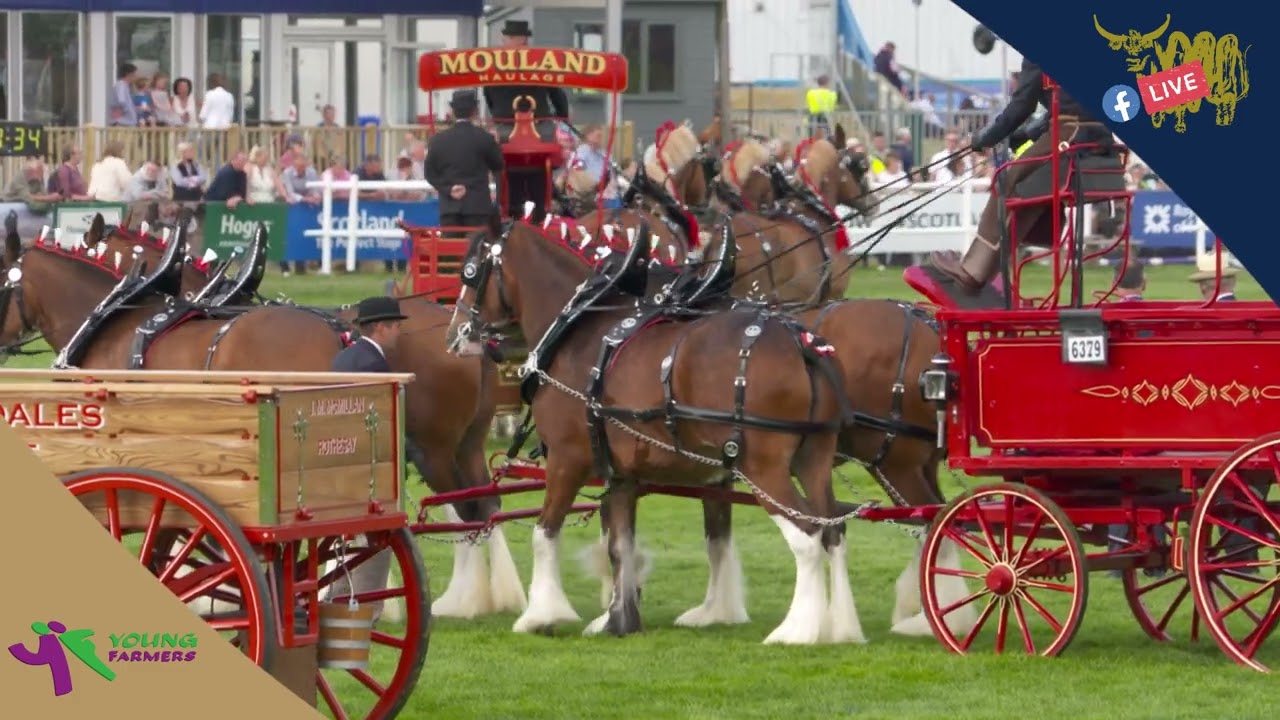 D2 S7 RHS PRODUCER FLORA MUNRO - HEAVY HORSES AT THE ROYAL HIGHLAND SHOW