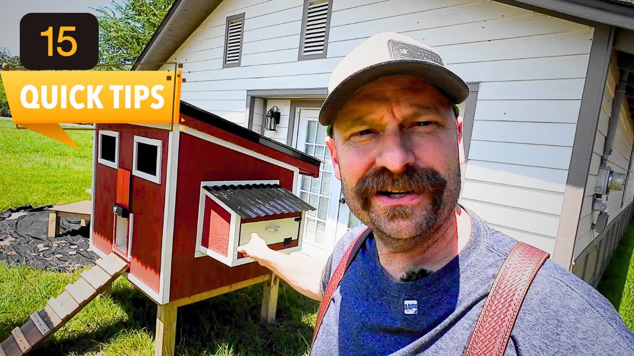 15 Backyard Chicken Coop Tips Every Beginner Needs to Know