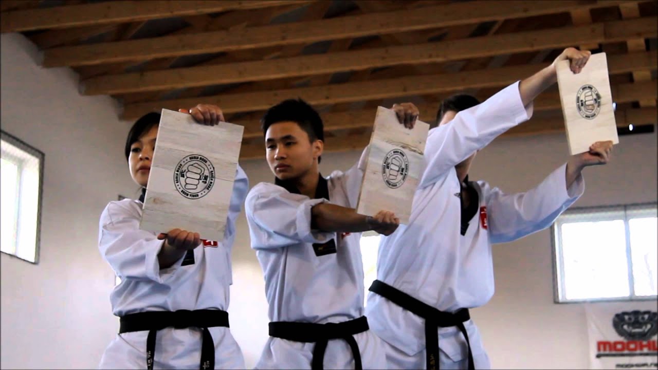 MOOHWA TAEKWONDO TRAINING CAMP 2014