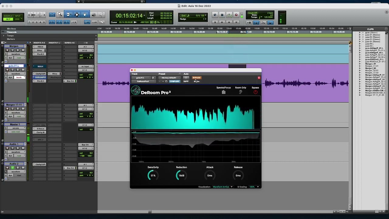 IMPRESSIVE  - Accentize DeRoom PRO