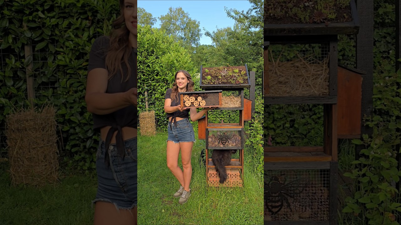 Bee Hotel Fully Booked? DIY A New One! 🐝🛠