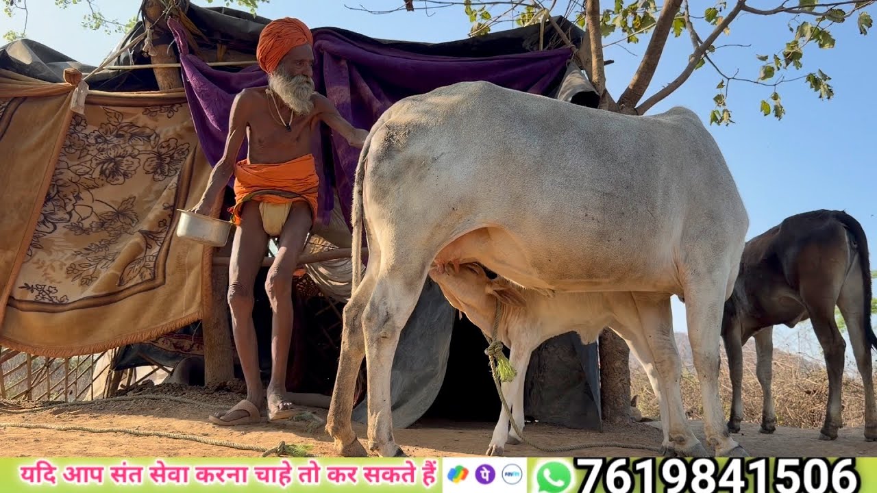 चित्रकूट के राधे बाबा का पूरा परिवार देखी बहुत ही सुंदर है