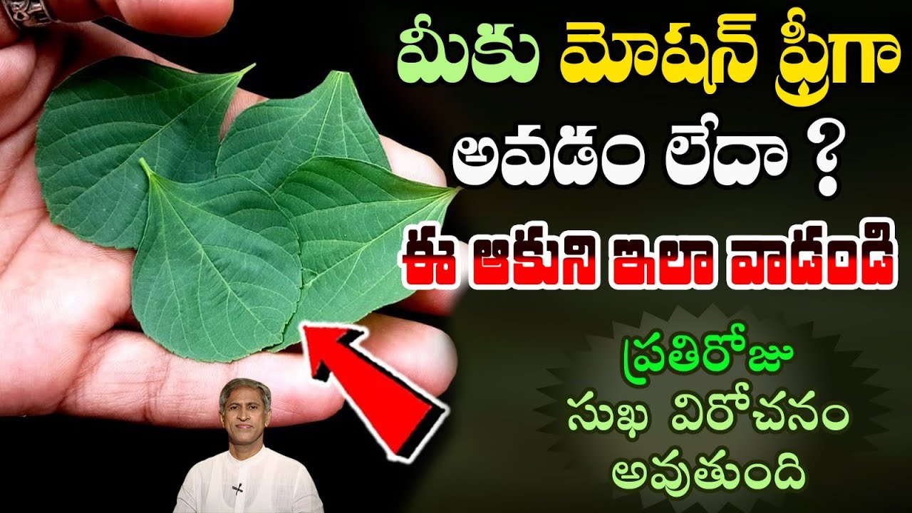 Kuppintaku Leaf Benefits | Reduces Muscle Pains | Lungs Health | Constipation | Manthena Official
