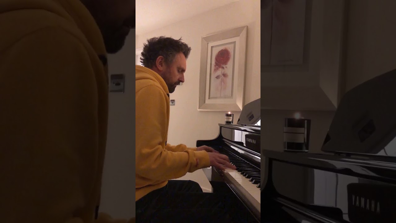 Suede piano covers