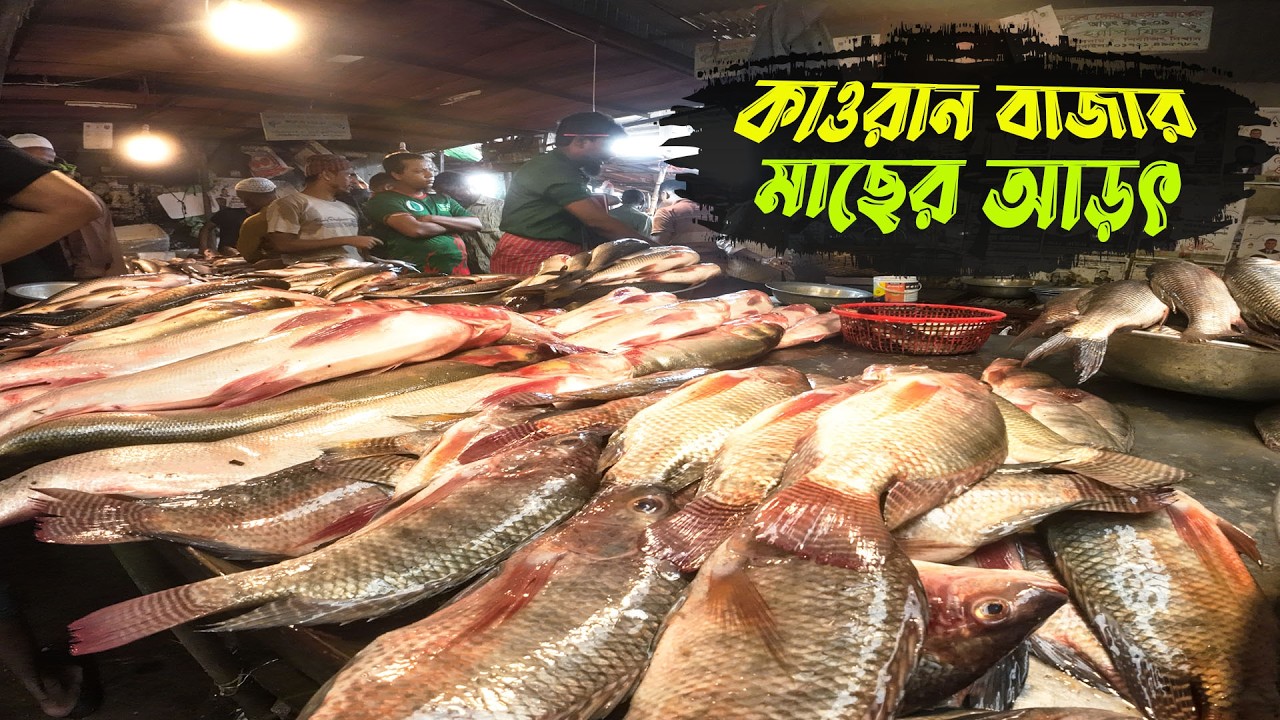 বাংলাদেশের সবচেয়ে বড় মাছ বাজার। Bangladesh's Biggest Fish Market in Dhaka | কাওরান মাছ বাজার