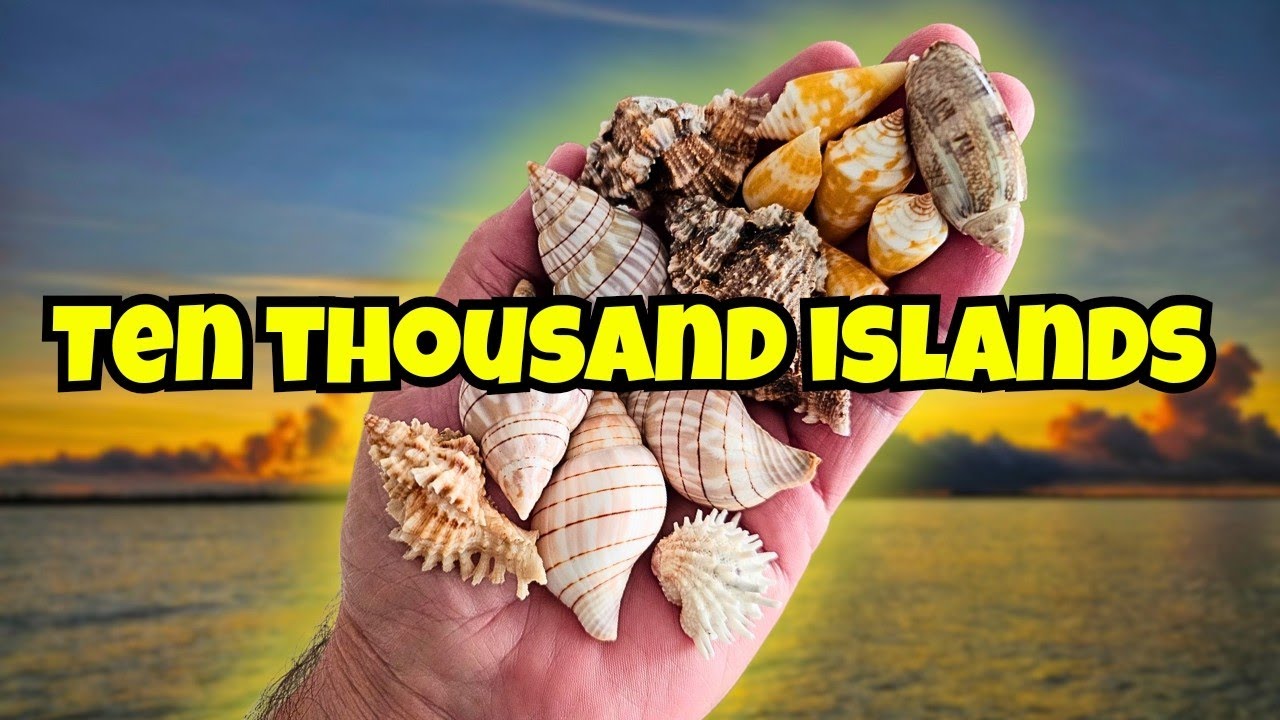 Shelling the TEN THOUSAND ISLANDS after a HURRICANE 🌀